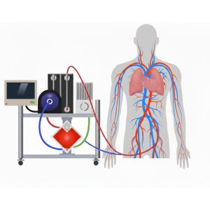 HARVI Modelando la fisiologia ECMO VV ECMO VA